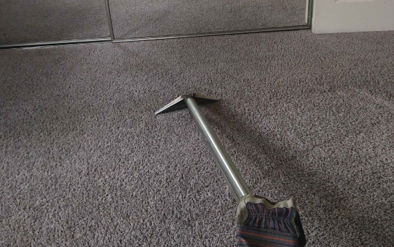 Professional Carpet Cleaning Belconnen